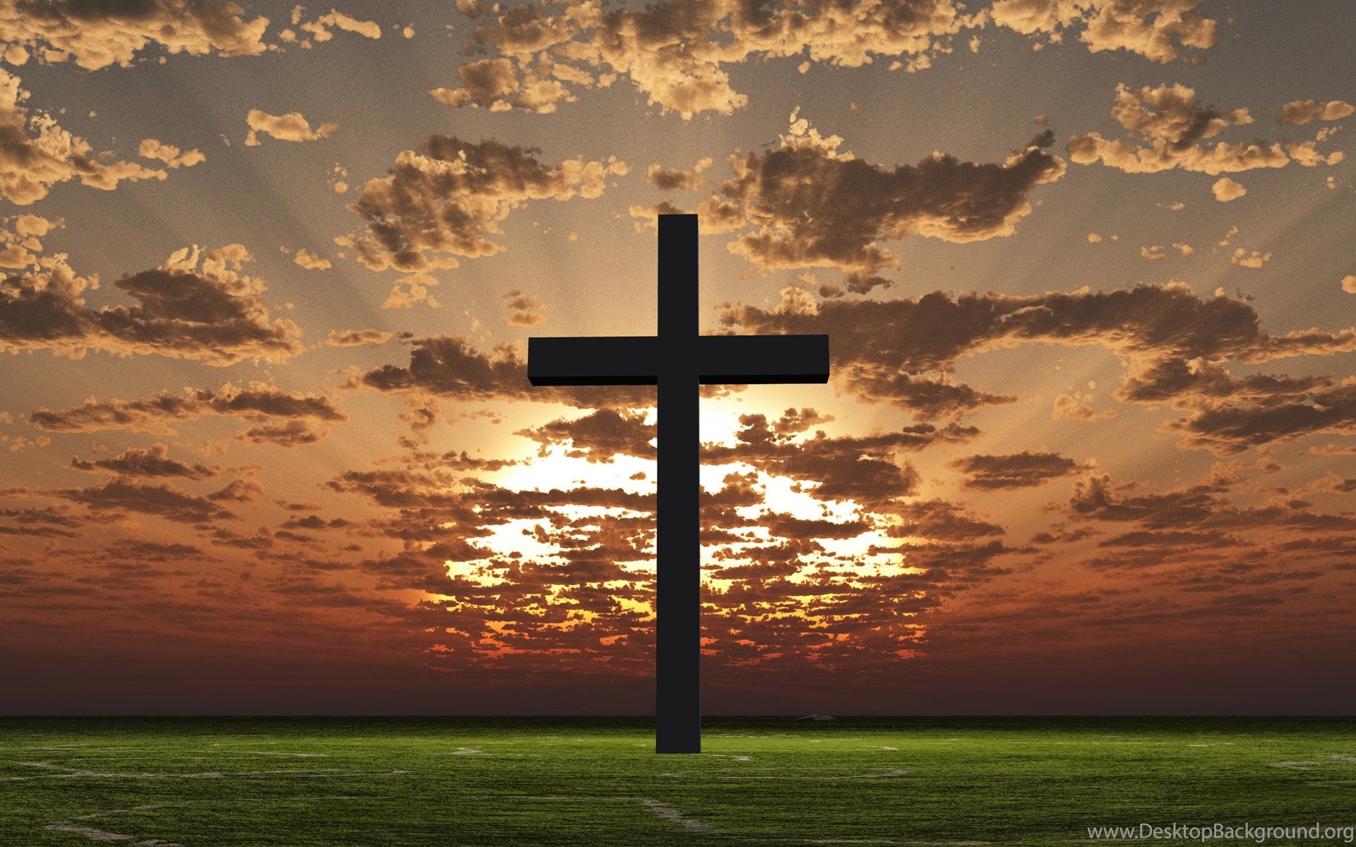 Sermon of the Week